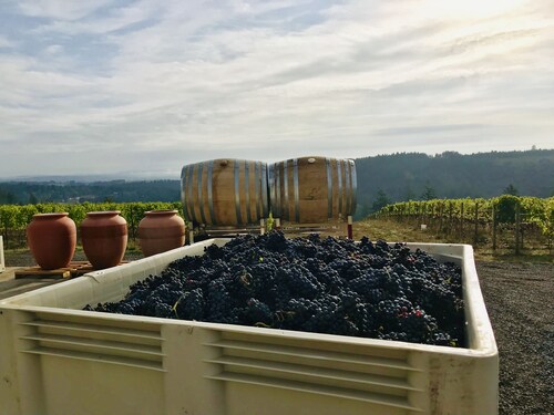Stunning New Listing - Beckham Estate Vineyard Guesthouse