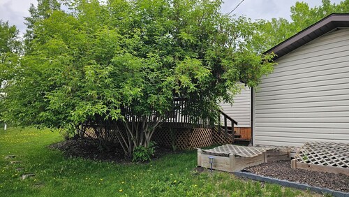 1 BR Private Cottage w/ Private deck