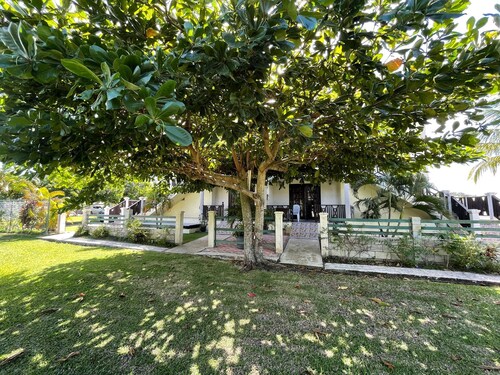 Almond Palm Apartment
