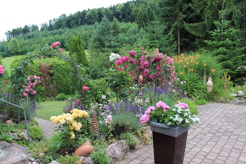 Herrlich an Wald u. Wiesenrand,ruhige Lage. Erdgeschoss, Terrasse ,fam. mit Kind