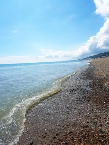 Seashell - Central Location Apartment Pet friendly!