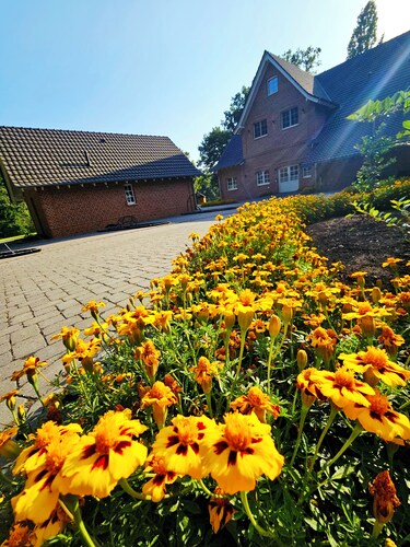 Gute Auszeit - Ferienhaus Mehrblick, 4-8 Pers.