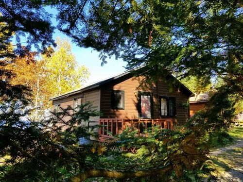 The Shimmering Aspen