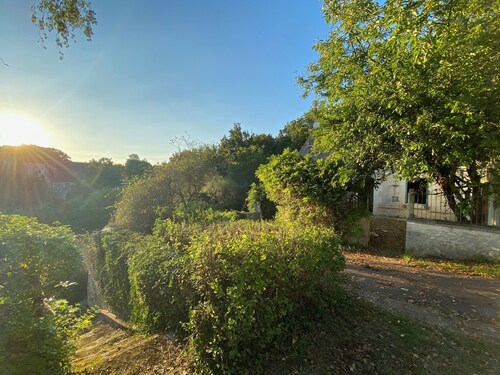 Clos des Mésanges : châteaux, zoo de Beauval, caves,  Loire ou Cher à vélo, etc.