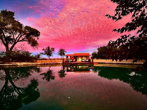 Secluded Oasis in the Desert