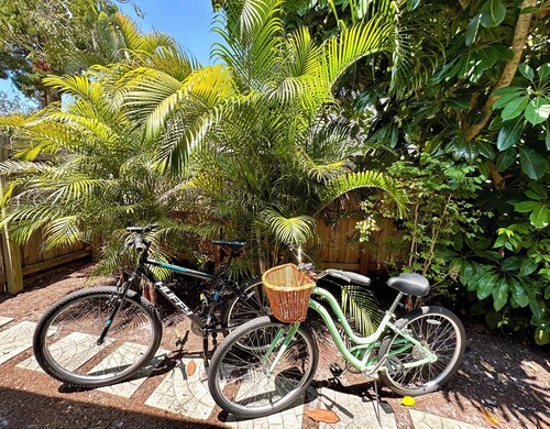 Bright Spacious Home Near Downtown, Restaurants, Shopping & Beaches