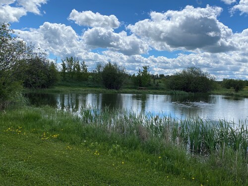 Elk Island Getaway! Rustic Cabin. Where peace and nature awaits you!