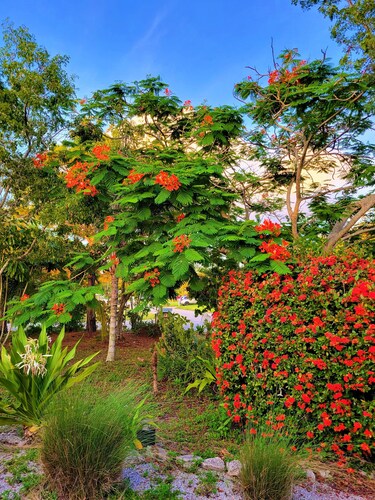 Spacious 4-bedroom house in tranquil Vero Beach with AC, WiFi