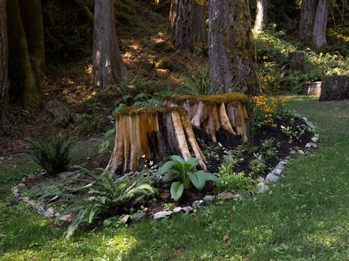 Secluded Forest Cabin w/ Hot Tub & Private Waterfall