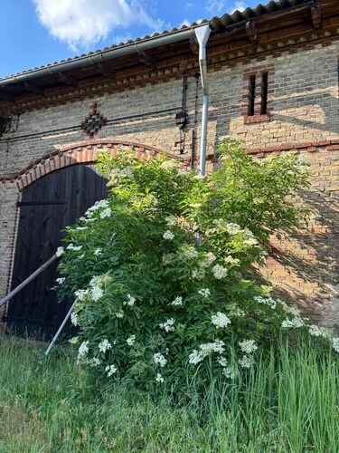 Ferienhaus "La Ferme" - Natur pur am Rande der Schorfheide