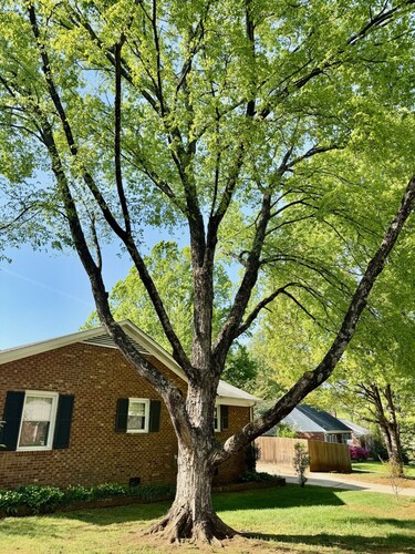 5 star family friendly retreat! Fenced backyard, pet friendly escape for guests.