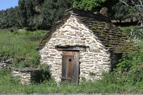 In the heart of the Cévennes, gîte la Treille du Mesous