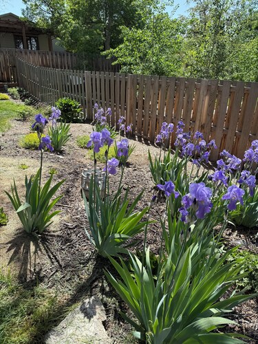 Heatherwood Hideaway