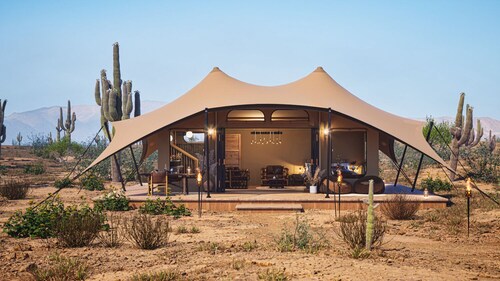SaguaroGlamp