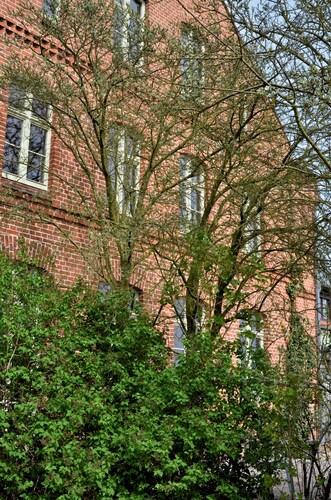 Komplettes Gasthaus am Finowkanal (ehem. Schule von 1875) für 12 Personen