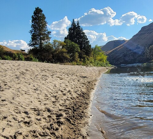 Cabin overlooking Salmon River south of White Bird - Family friendly + Starlink!