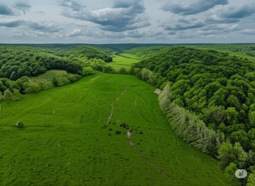 Wandering Willow – Private Stargazing Glamping Tent with Fire Pit & Open Skies