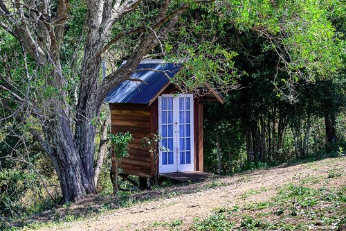 Little Soho – A Soulful Off-Grid Caravan Retreat