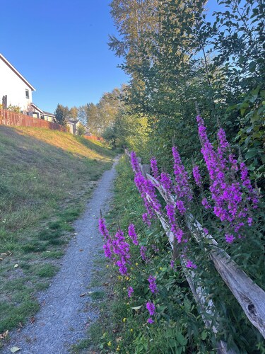 River Retreat close to Boeing, I-5 and downtown Everett!