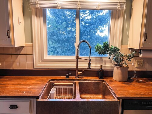 Black Hills Beauty - Perfect for Families