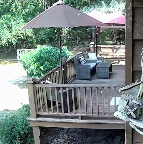 Quiet cabin with 3 fishing ponds on lots of acres. Come enjoy the country life