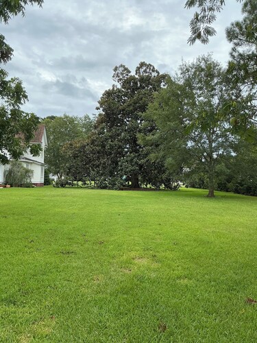 Magnolia House Bed & Breakfast