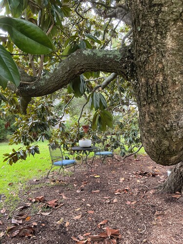 Magnolia House Bed & Breakfast