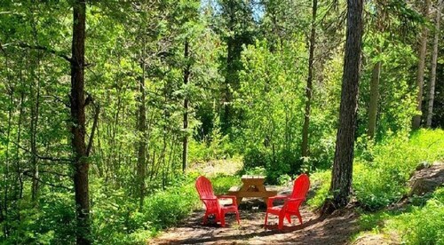 Timber Wolf Resort & Jeep Rentals