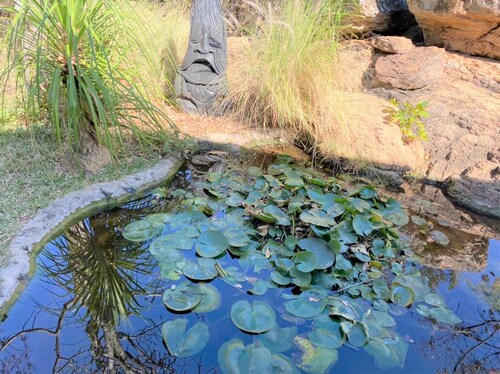 Family Lodge in Natural African Bush - 2115