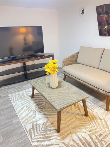 Welcoming 2-bedrooms cute house in Vestal.