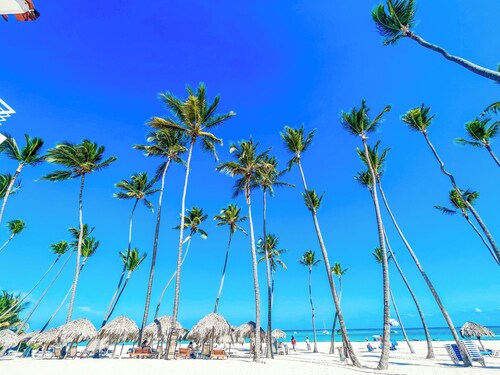 BEACH FUN AND LIFE