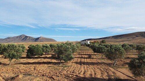 Nico House. House with wifi between gardens and olive trees.