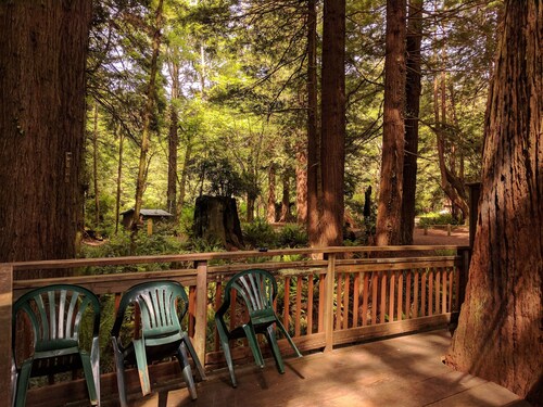 Emerald Forest Cabins