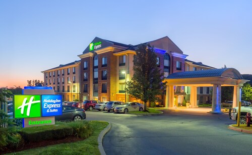 Holiday Inn Express Hotel & Suites Auburn, an IHG Hotel