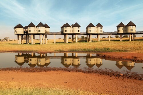 Salt Lick Safari Lodge