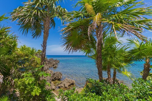Coral Vista #4 - 50546