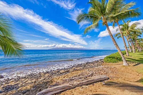 Brand New Kitchen & Updated Living Space - Oceanfront #216-2