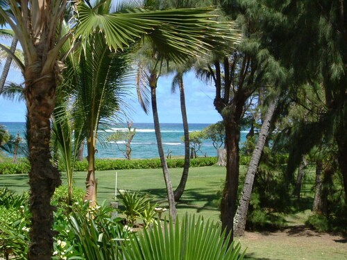 OCEANFRONT to Walking Path & Beach TVNC #1287