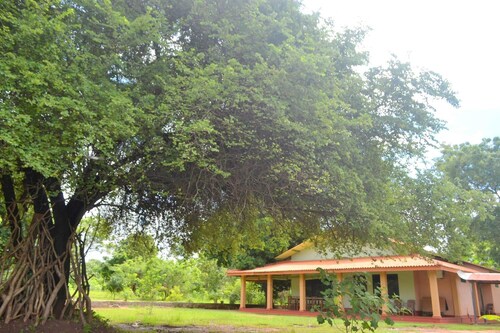 Wilpattu Dilsara Holiday Resort