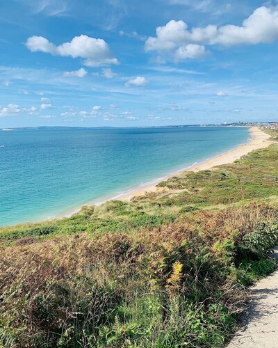 A beautiful cottage in the heart of the New Forest and a short drive to beaches