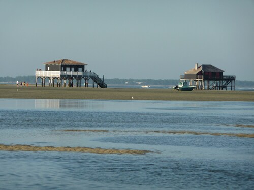 Au cœur du Bassin d'Arcachon, en bordure des prés salés du sentier du littoral.