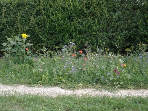 Nelke - Ferienwohnungen Flora, kleines Apartment unter dem Dach