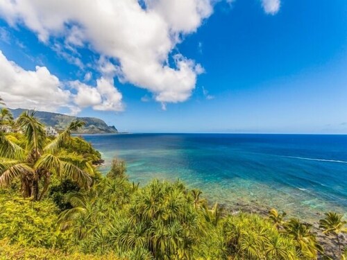 AC!! Stunning Ocean Views - Walk to the beach #133-134