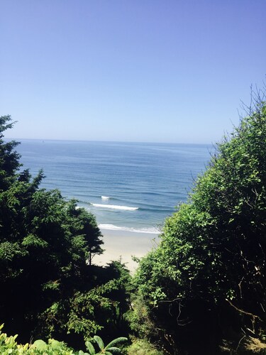 Stay at the BEST Olympic Peninsula Ocean Beach Retreat!