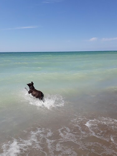 Peach of a private beach! Waterfront cliff cottage near Bayfield