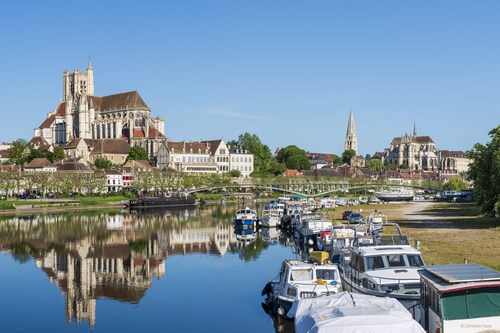 Cerise Auxerre