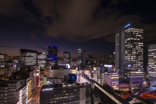 雷姆秋葉原酒店