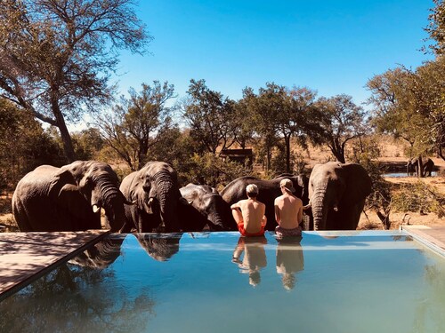 Honeyguide Tented Safari Camps - Mantobeni