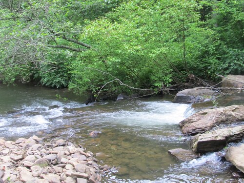 Hiawassee river cabin $ 85 per night  ON THE BEAUTIFUL HIAWASSEE RIVER