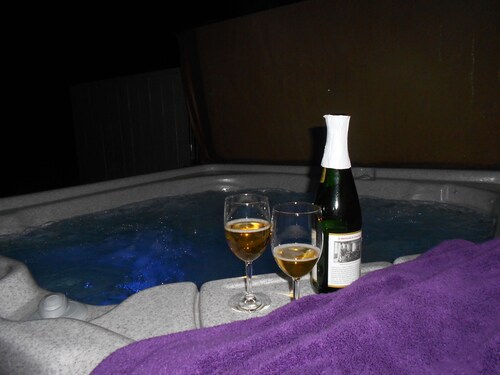 !!!Owner Mngd & Shows! Yrs of Happy Guests! Updates Thru-Out & PRIVATE Hot Tub!